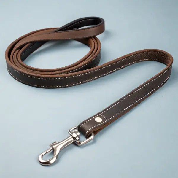 Durable Leash with Padded Handle