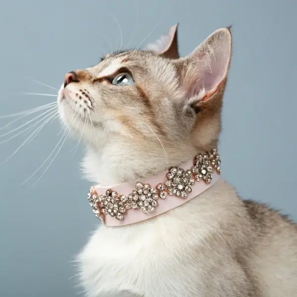 Silk-Soft Cat Collar with Bell