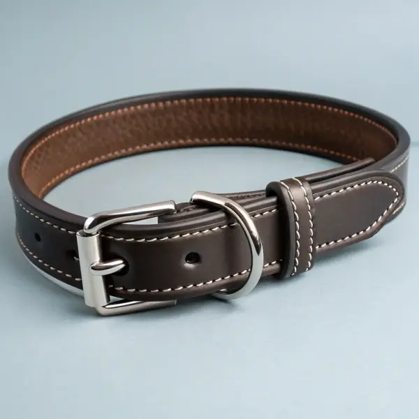Reflective Nylon Dog Collar
