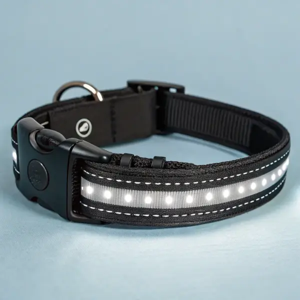 LED Light-Up Dog Collar